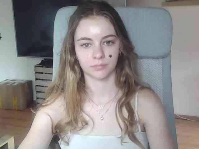 AriaModel webcam