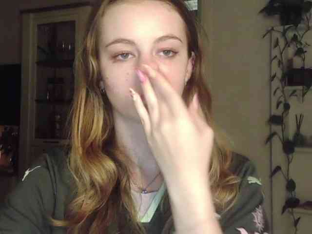 AriaModel webcam
