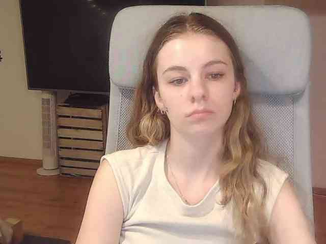 AriaModel webcam