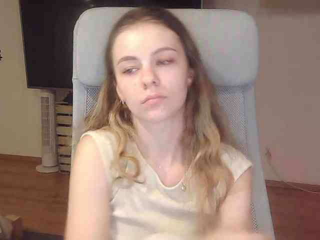 AriaModel webcam