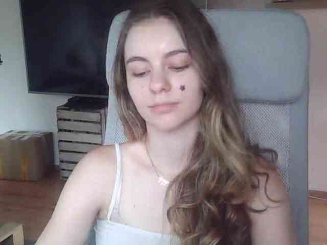 AriaModel webcam
