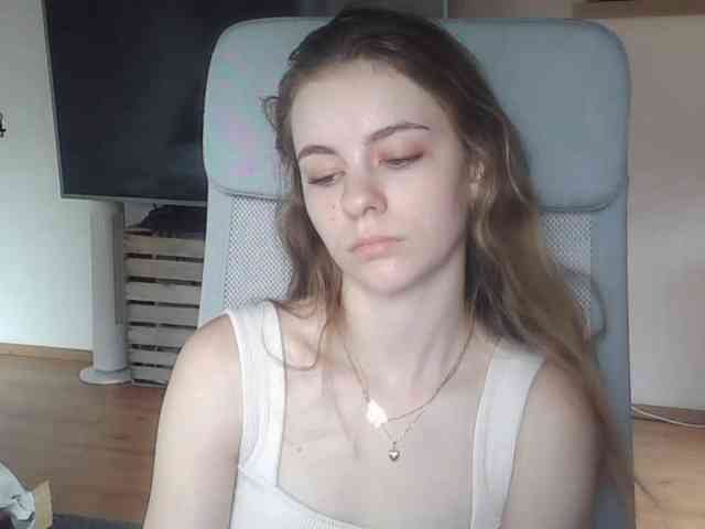 AriaModel webcam