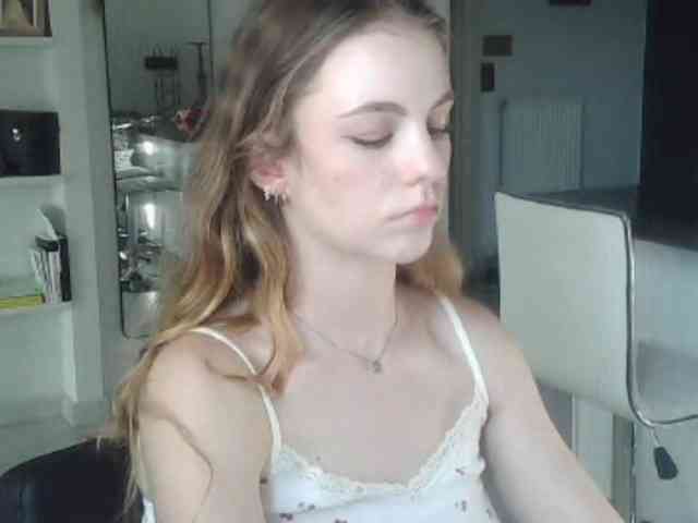 AriaModel webcam