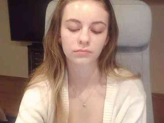 AriaModel webcam