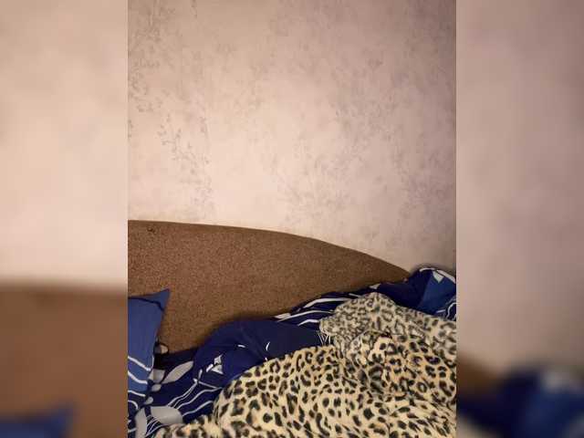 Teddy-girl's BongaCams show and profile