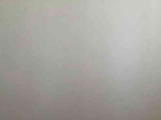 LizaFlower1 webcam