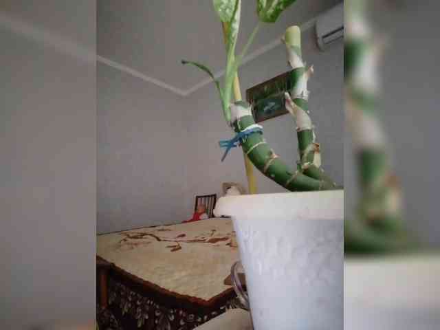 yscromnay webcam