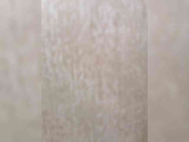 yscromnay webcam