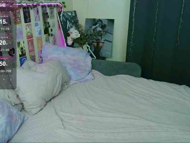 Kitty-Katty webcam