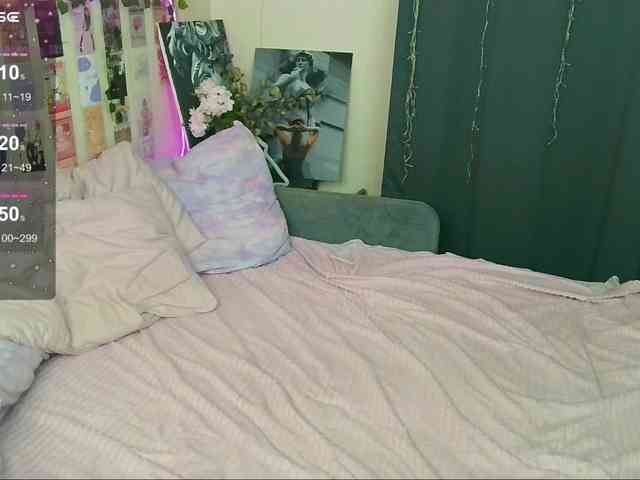 Kitty-Katty webcam