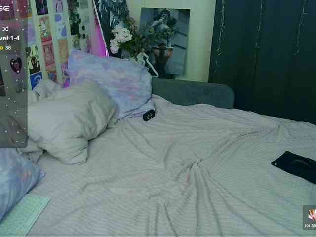 Kitty-Katty webcam