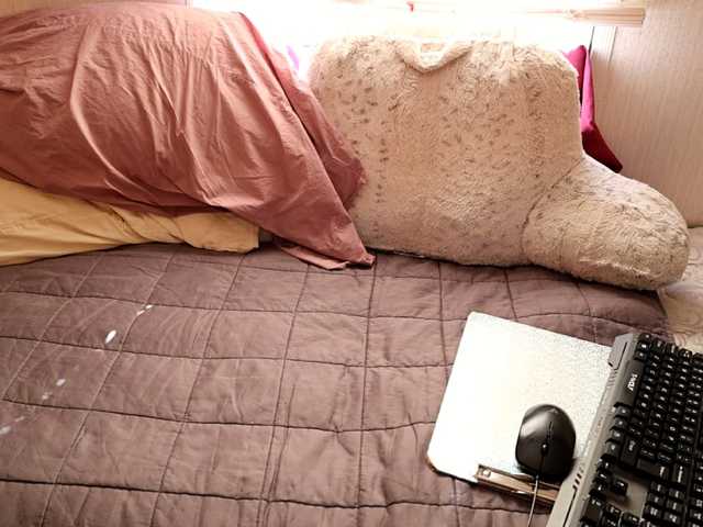 XxpixeyxX's BongaCams show and profile