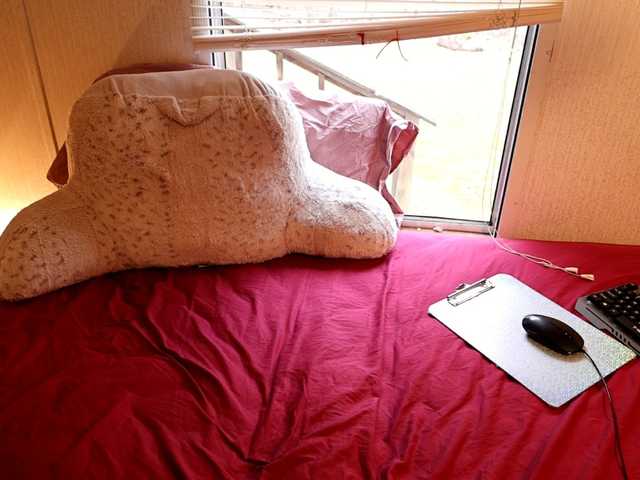 XxpixeyxX's BongaCams show and profile