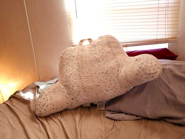 XxpixeyxX's BongaCams show and profile