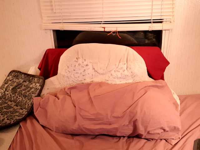 XxpixeyxX's BongaCams show and profile