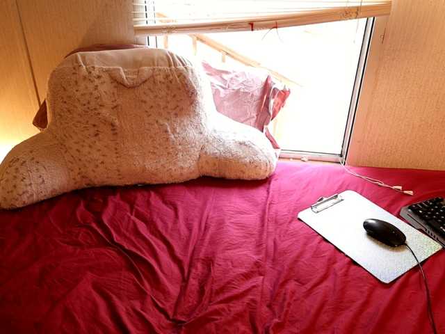 XxpixeyxX's BongaCams show and profile