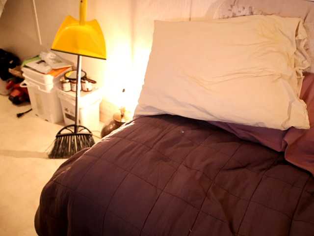 XxpixeyxX's BongaCams show and profile