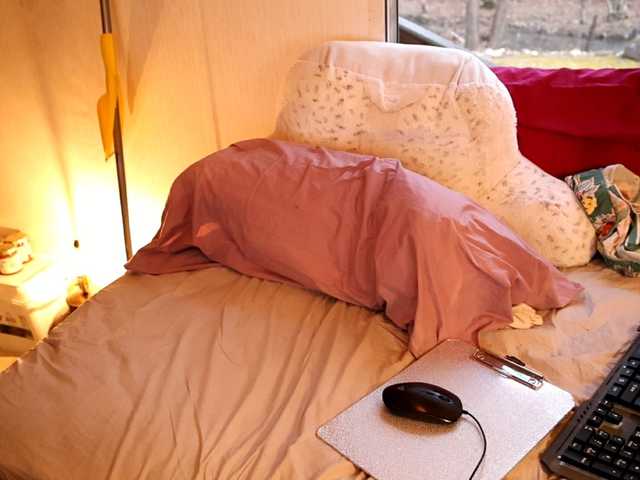 XxpixeyxX's BongaCams show and profile