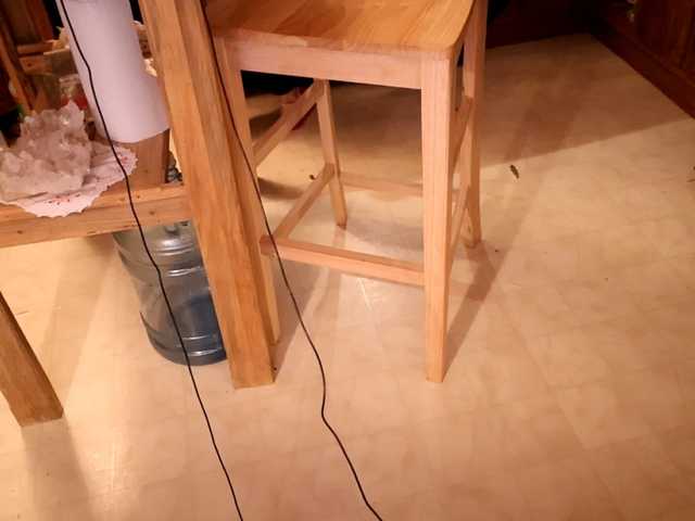 XxpixeyxX's BongaCams show and profile