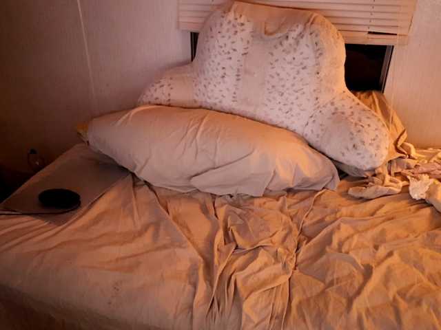 XxpixeyxX's BongaCams show and profile