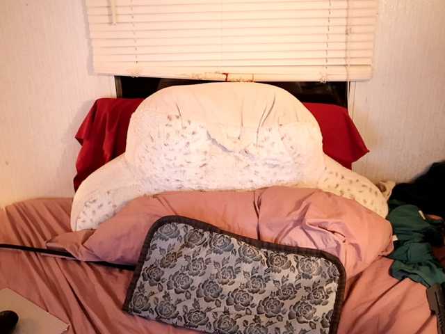 XxpixeyxX's BongaCams show and profile