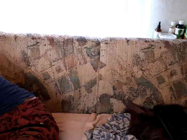 XxpixeyxX webcam