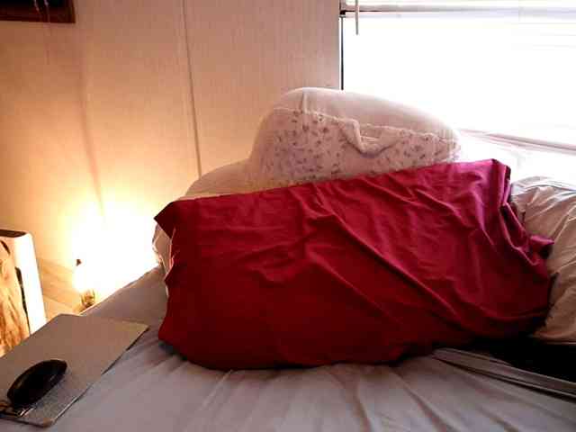 XxpixeyxX Live Webcam on BongaCams