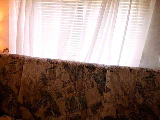 XxpixeyxX webcam