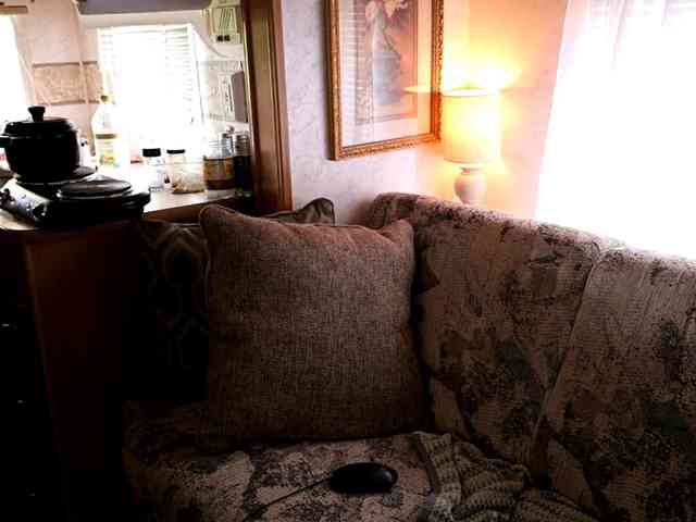 XxpixeyxX webcam