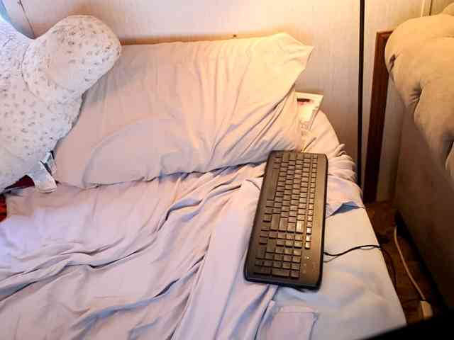 XxpixeyxX webcam