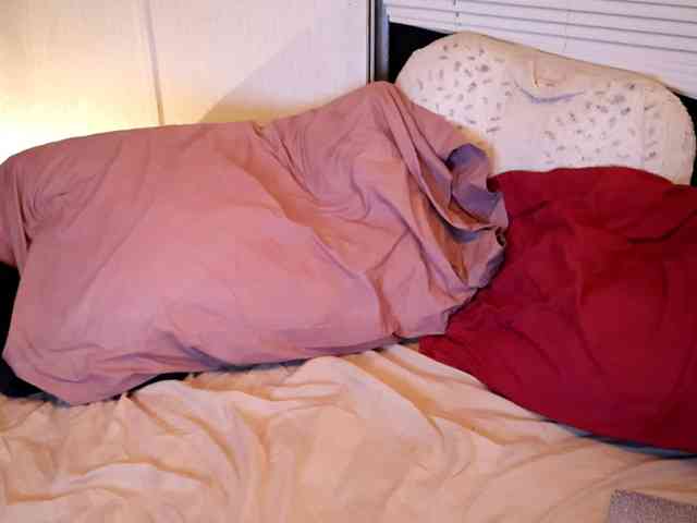 adult chat now XxpixeyxX