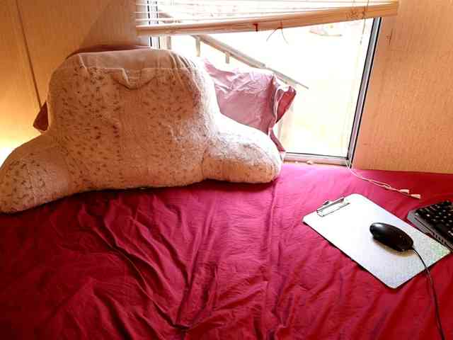 chat live sex XxpixeyxX