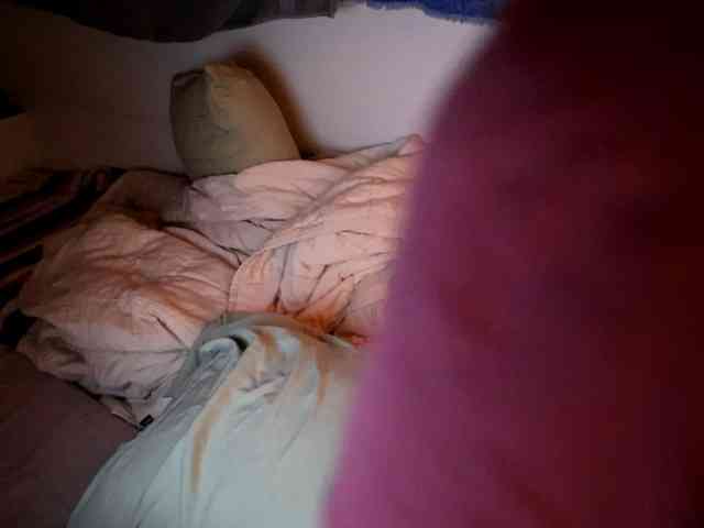 XxpixeyxX webcam