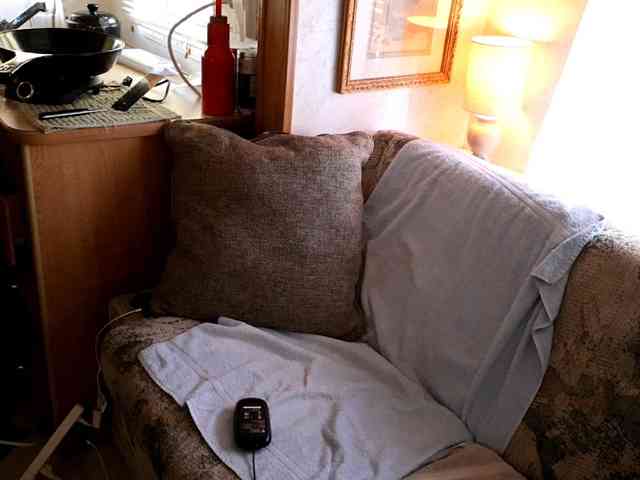 XxpixeyxX webcam