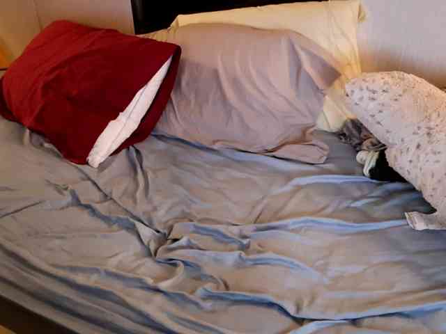 XxpixeyxX webcam