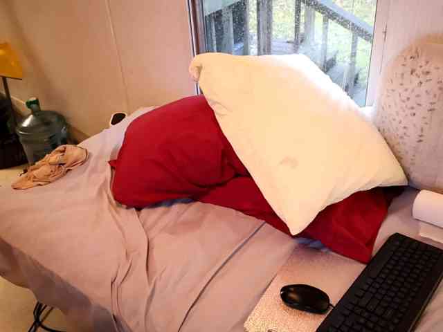XxpixeyxX webcam
