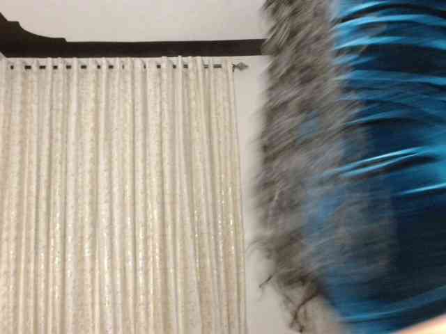 adriana_crystal webcam