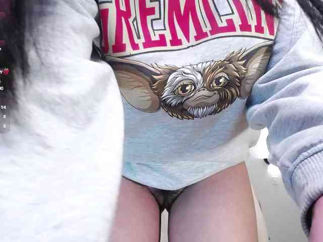 iM-Kitty webcam