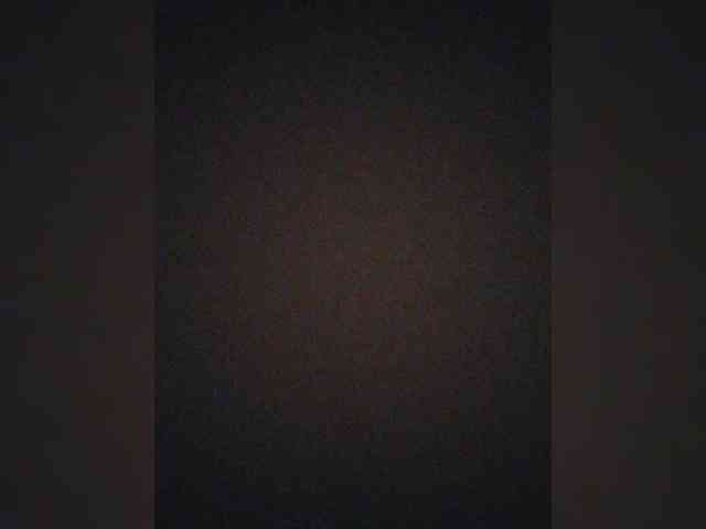 Diannarr webcam