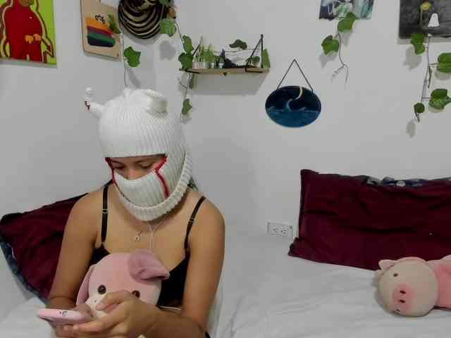 aria-mapola webcam