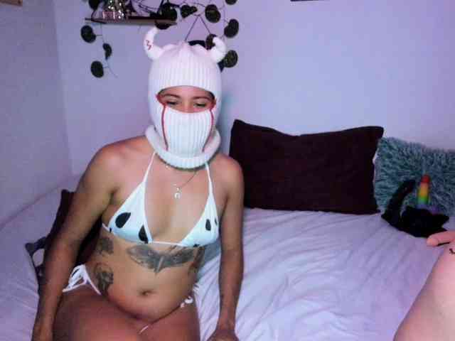 aria-mapola webcam