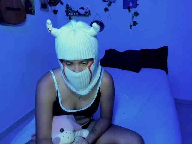 aria-mapola webcam