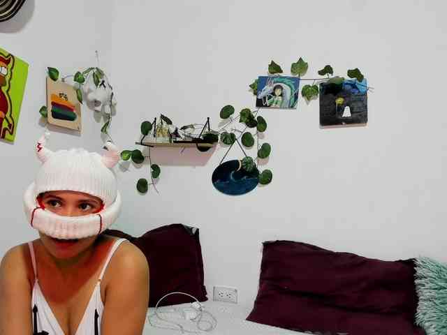 aria-mapola webcam