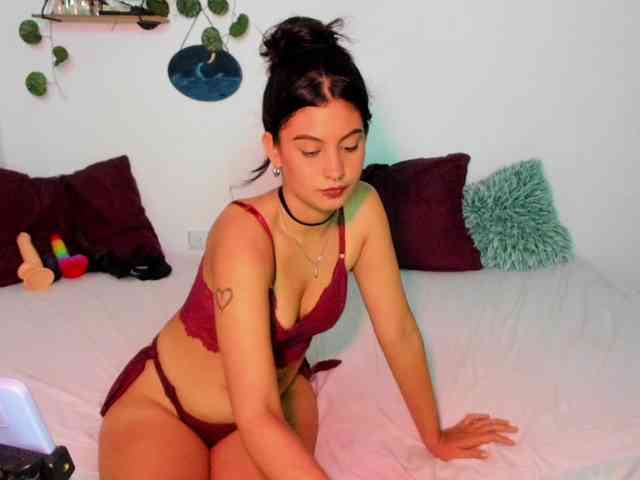 aria-mapola webcam