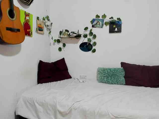 aria-mapola webcam