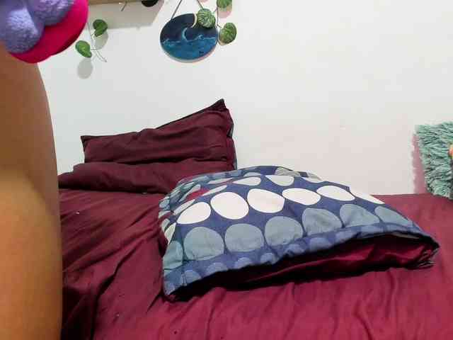 aria-mapola webcam