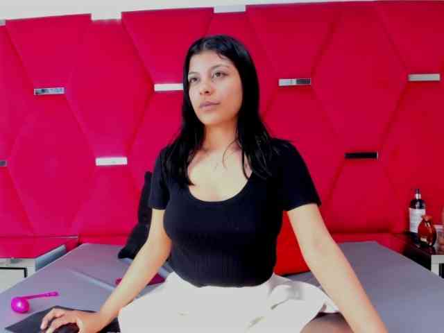 Salmaportman webcam