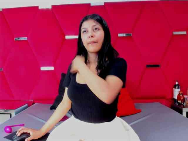 Salmaportman webcam