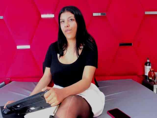 Salmaportman webcam