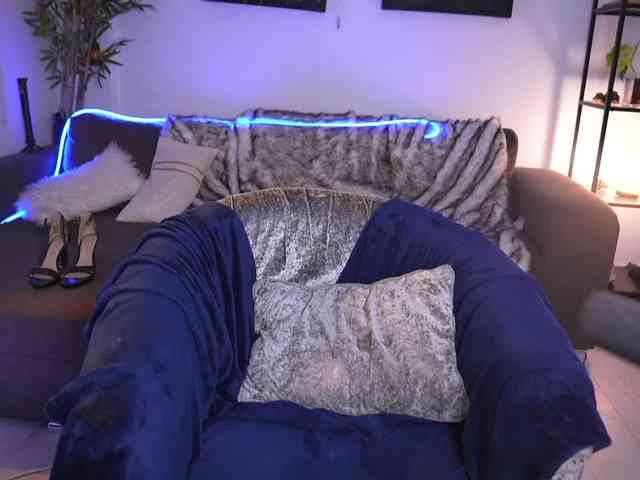 MagneticAmi webcam